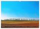 Thumbnail-8