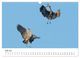 Thumbnail-9