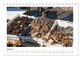 Thumbnail-9