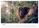 Thumbnail-11
