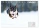 Thumbnail-14