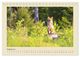Thumbnail-10