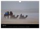 Thumbnail-9