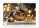 Thumbnail-14