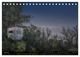 Thumbnail-11
