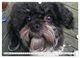 Thumbnail-13