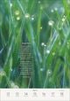 Thumbnail-11