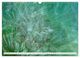 Thumbnail-11