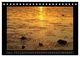 Thumbnail-12