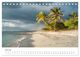 Thumbnail-12