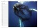 Thumbnail-11