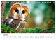 Thumbnail-11