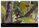 Thumbnail-8