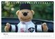 Thumbnail-10