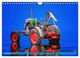 Thumbnail-14