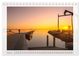 Thumbnail-13