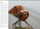 Thumbnail-9