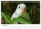 Thumbnail-13