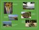 Thumbnail-10