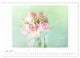 Thumbnail-12