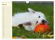 Thumbnail-10