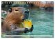 Thumbnail-10
