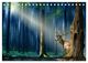 Thumbnail-12