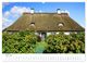 Thumbnail-11