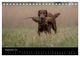 Thumbnail-11