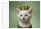 Thumbnail-13