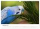 Thumbnail-14