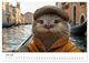 Thumbnail-12