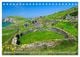 Thumbnail-8