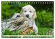 Thumbnail-10