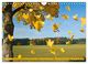 Thumbnail-12
