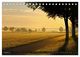 Thumbnail-10