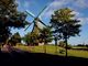 Thumbnail-2
