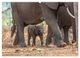 Thumbnail-9