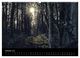 Thumbnail-11