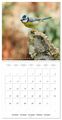 Thumbnail-12