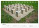 Thumbnail-11