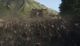 Thumbnail-11