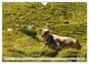 Thumbnail-8