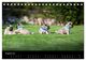 Thumbnail-10