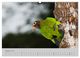 Thumbnail-13