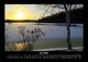 Thumbnail-10