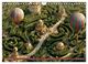 Thumbnail-10
