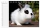 Thumbnail-14