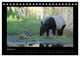 Thumbnail-10