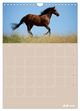 Thumbnail-10